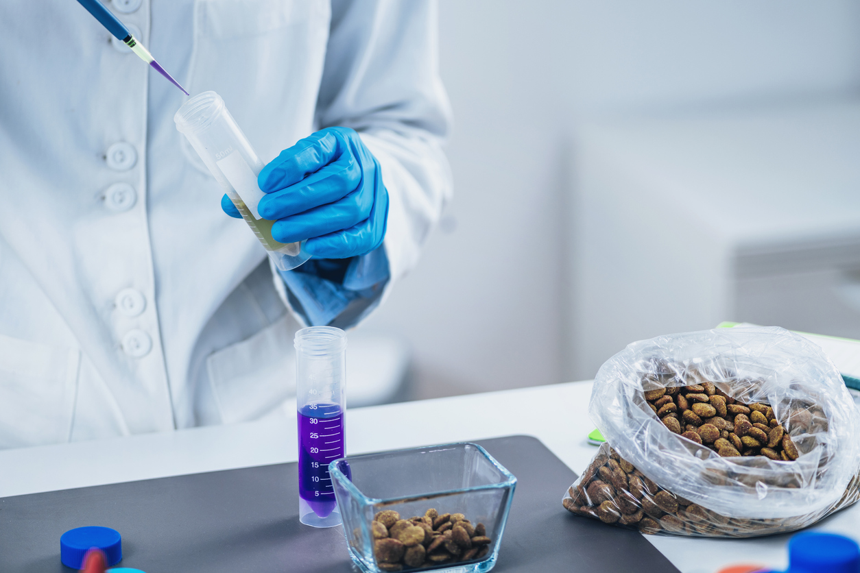 blog image for the top things you should know about pcqi for animal food