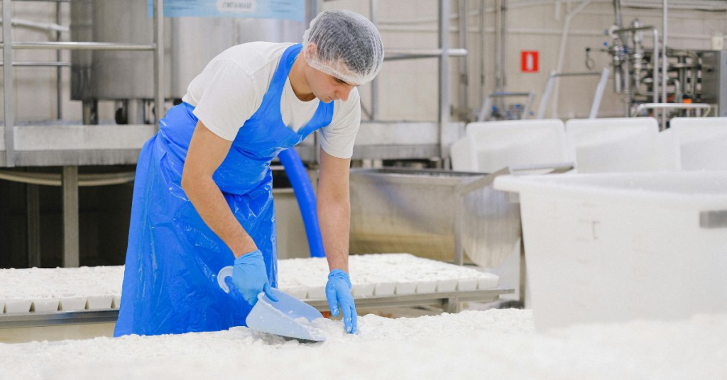 dairy-production-process dairy production process