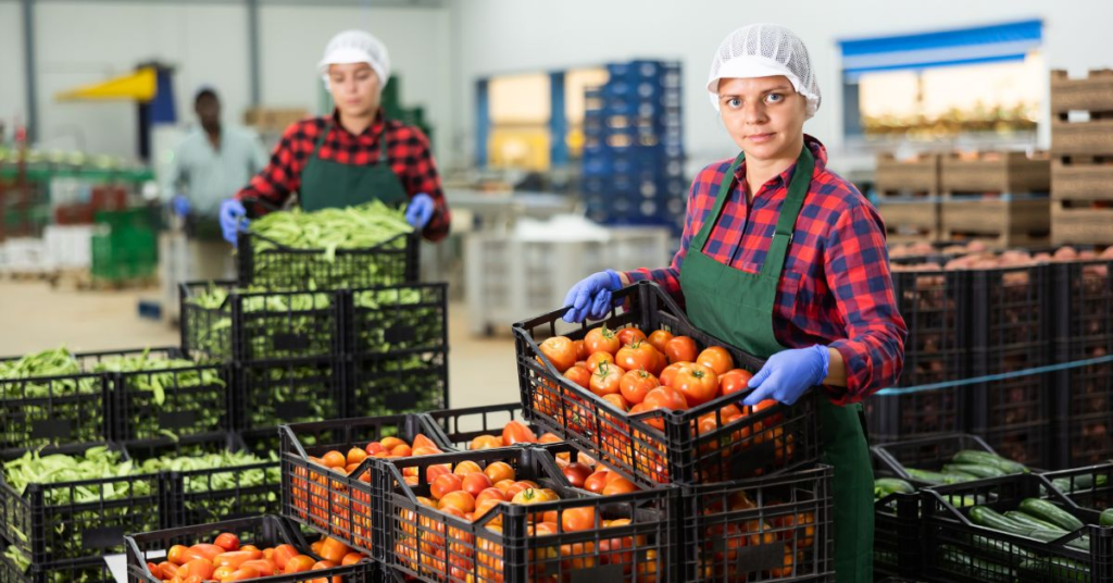 fresh-produce-sorting revolutionizing food safety